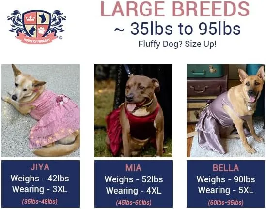 Sunflower Dog Dress, Navy Sunflower Wedding Dog Dress, Dog Flower Girl Dress, The Dorothy, Wedding Dog Dress, Dog Clothes (Large (12-18 lbs))