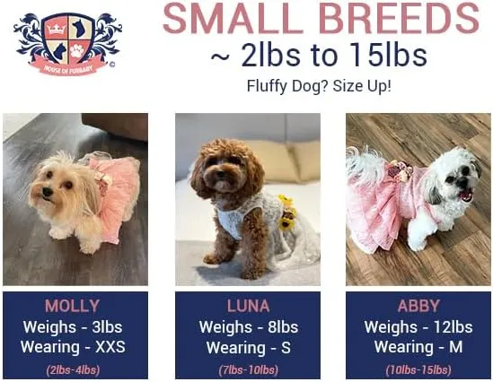 Sunflower Dog Dress, Navy Sunflower Wedding Dog Dress, Dog Flower Girl Dress, The Dorothy, Wedding Dog Dress, Dog Clothes (Large (12-18 lbs))